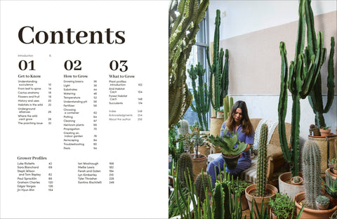 Cacti Succulents
