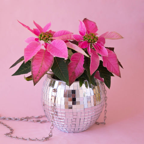 Disco Hanging Planter