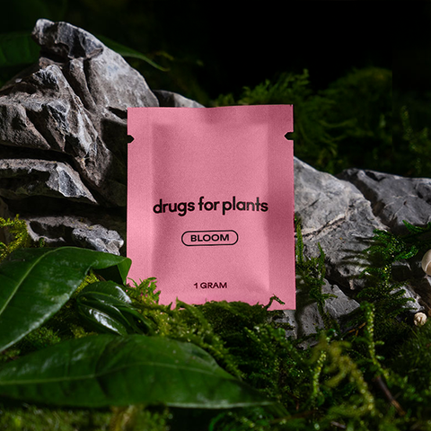 1G Bag (Bloom)