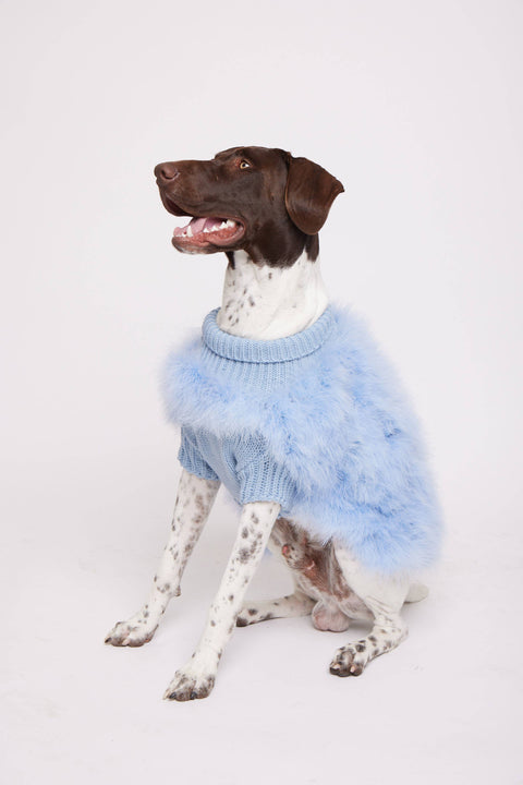 Christian Cowan x maxbone Jumper for Dogs