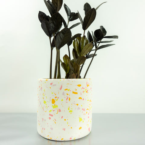 Terrazzo Pots