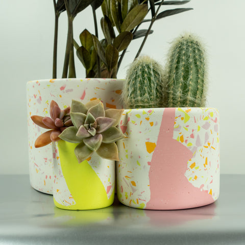 Terrazzo Pots