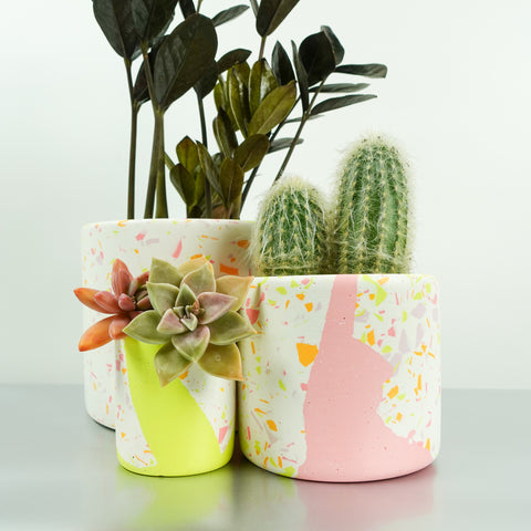 Terrazzo Pots