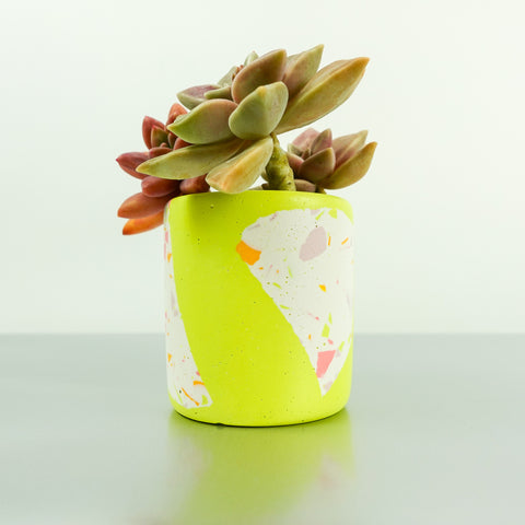 Terrazzo Pots