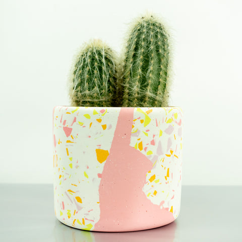 Terrazzo Pots