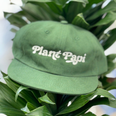 Plant Papi Hat