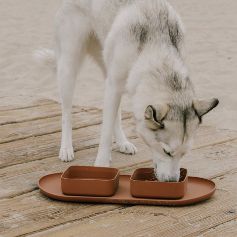 Square Bowls & Mat Set