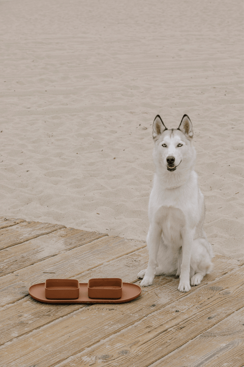 Square Bowls & Mat Set