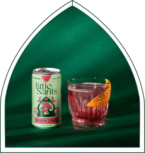 NEGRONI SPRITZ NA Cocktail